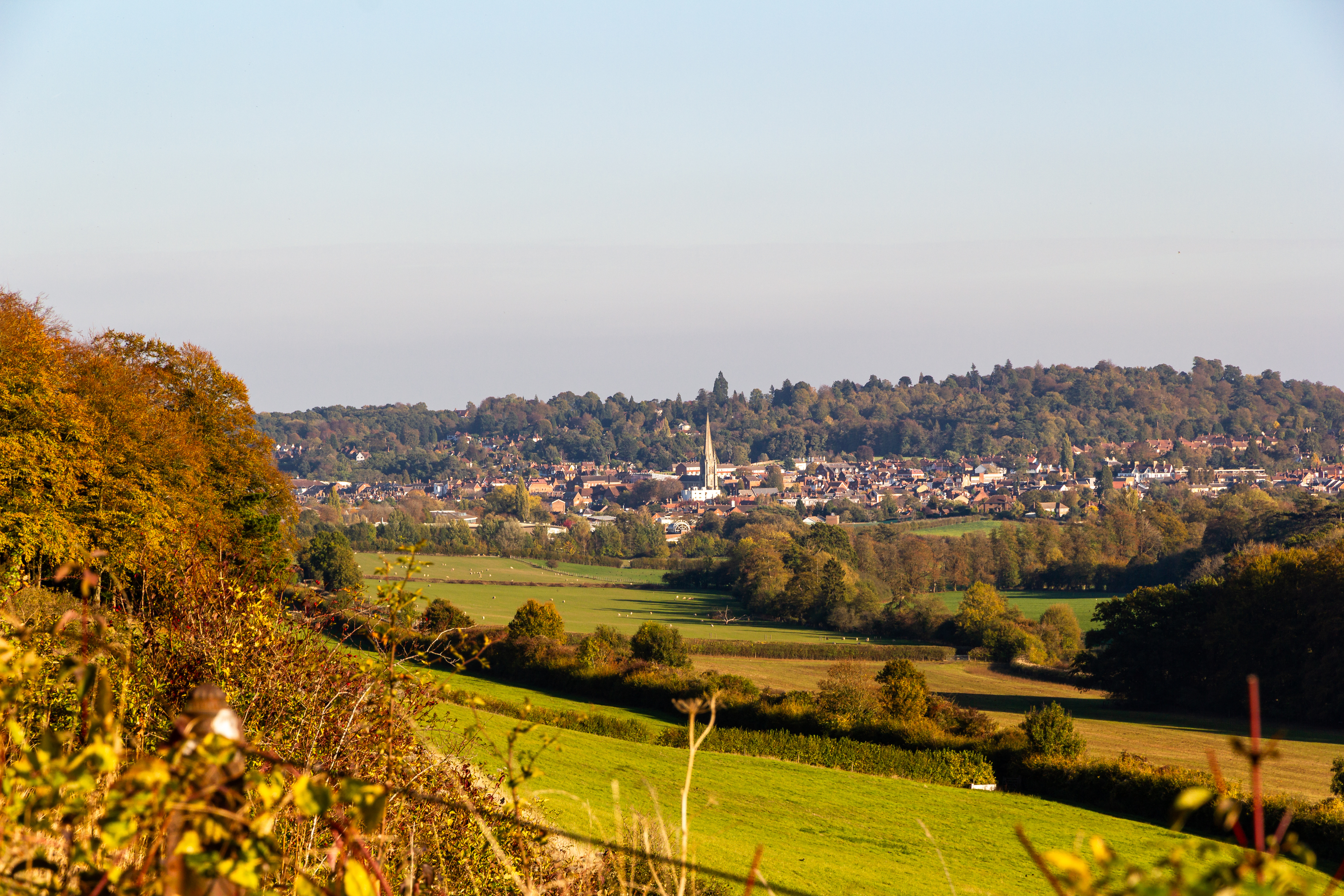 Dorking
