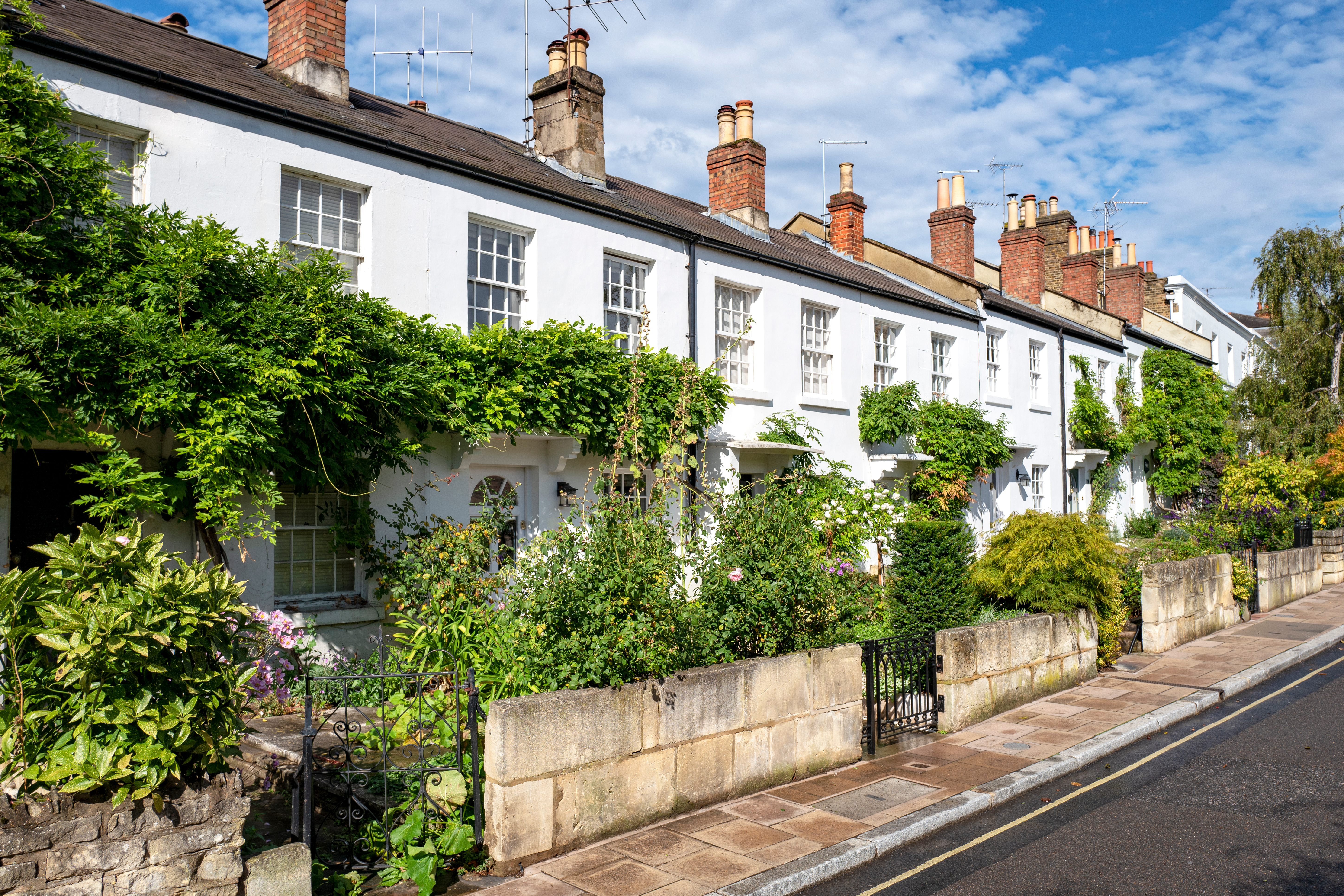 Beautiful Surrey homes with climbing roses